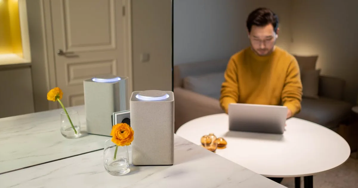 Motor Cortinas Somfy (Amazon Alexa)