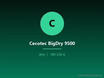 Cecotec BigDry 9500
